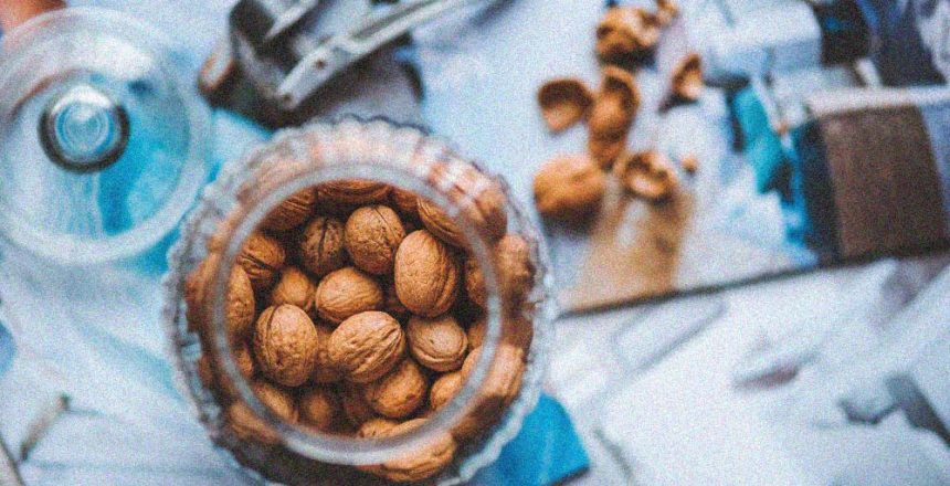 Odemykání ořechů a semen