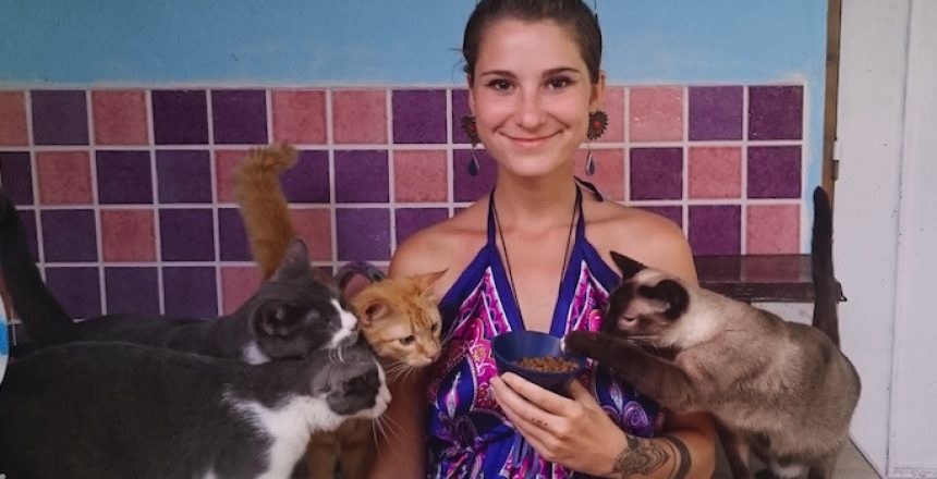 Život v záchranné stanici pro kočky aneb proč kastrovat